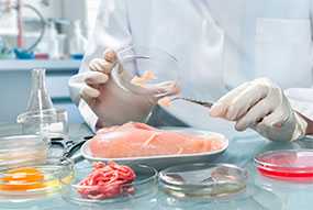 Проведение токсикологического исследования пищевых продуктов
