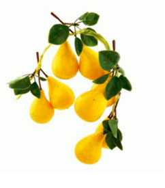 Муляж SSCFR014-1 лимоны в связке