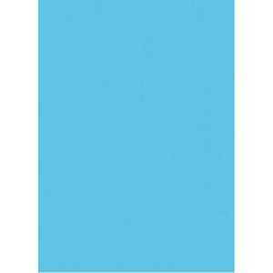 Цветная бумага Гознак - А4 - 80 г/м2 - 100 листов - Голубая