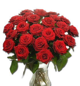 Букет из 25 красных роз длинной 70 - 80 см