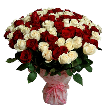 Букет из 101 красной и белой розы 60 см