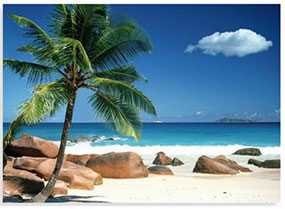 Декор (фотография) на холсте Praslin beach Seychelles, 50*70 см, INNOVA (Китай)