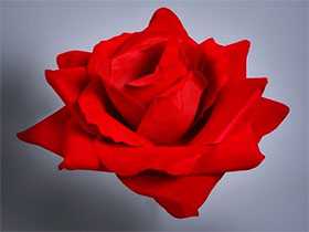 Головка цветочная искусственная Роза бархат 503 - ДИШЕР