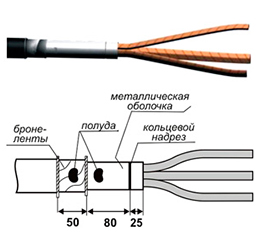 Концевые муфты для кабелей 1кв марки АВБбШв