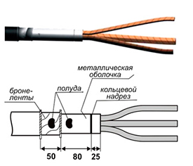 Концевые муфты для кабелей 1кв марки ВБбШв(внутренней установки)