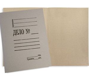 Папка для бумаг Дело (серая) арт.8С15705 - ОАО Альбертин (Беларусь)