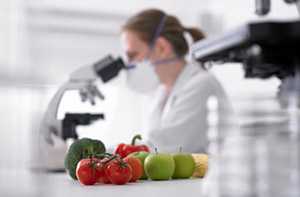 Оценка безопасности пищевой продукции