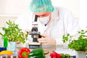 Проведение санитарно-гигиенического исследования пищевых продуктов