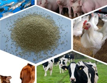 Продажа комбикорма для сельскохозяйственных животных