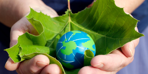 Услуги в области охраны окружающей среды